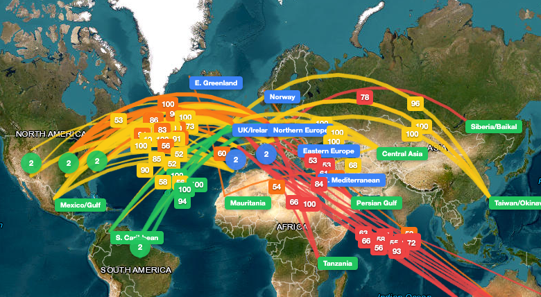 DX Map by HB9VQQ: Propagation auf einen Blick – nicht nur eine weitere Karte